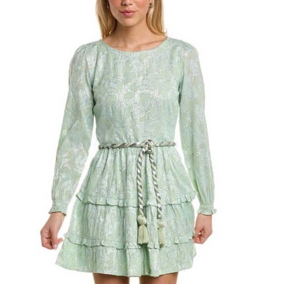 NWOT Roller Rabbit Mint Green Mini Dress Clermont Nori Silver Tie Tassels Tiered - Picture 1 of 12